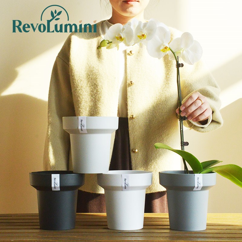速发塑料花盆家用白色蝴蝶兰专用单株套盆小号轻奢高级感兰花多肉