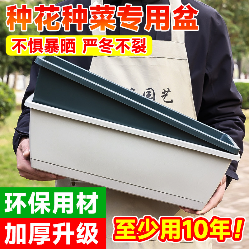 现货草莓专用盆阳台种菜盆长方形C懒人塑料长条盆多肉室内花盆大
