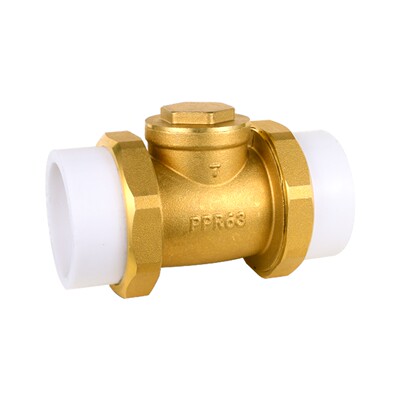 PR热熔水管止回阀双活接卧