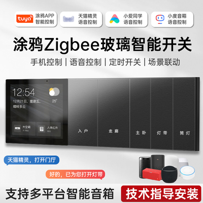 涂鸦ZigBee智能开关语音控制