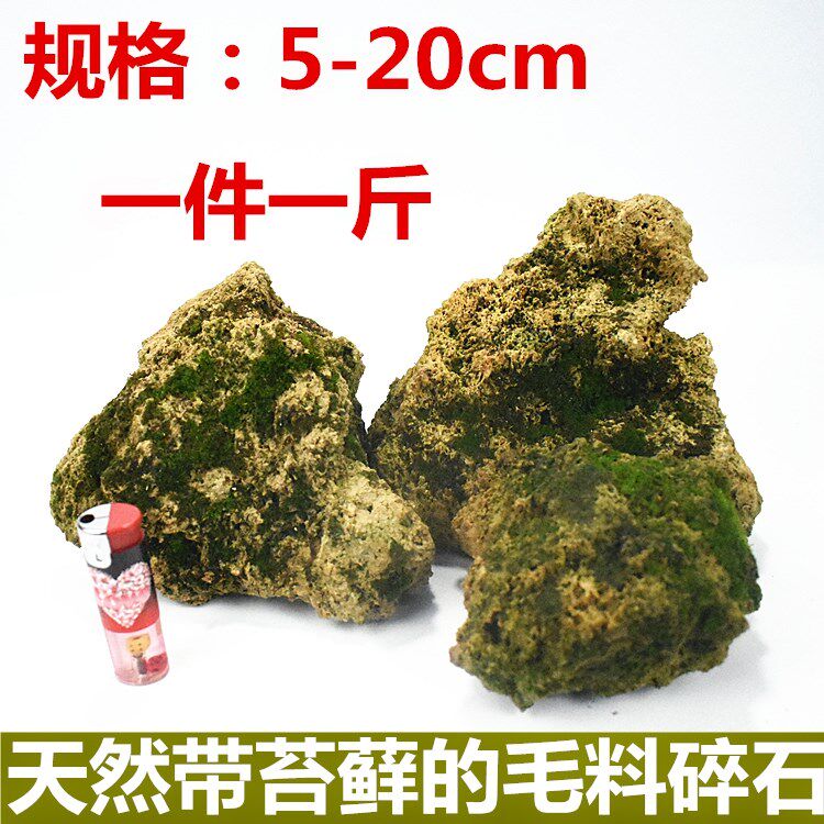 速发精品吸水石原石毛石毛料假山奇石盆景造景石微景观石头摆件配