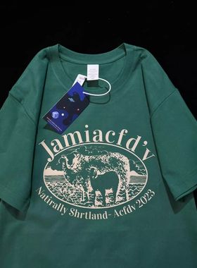 速发10宽%感棉墨绿色t恤夏设计纯小众0松ch港味学生半袖上衣