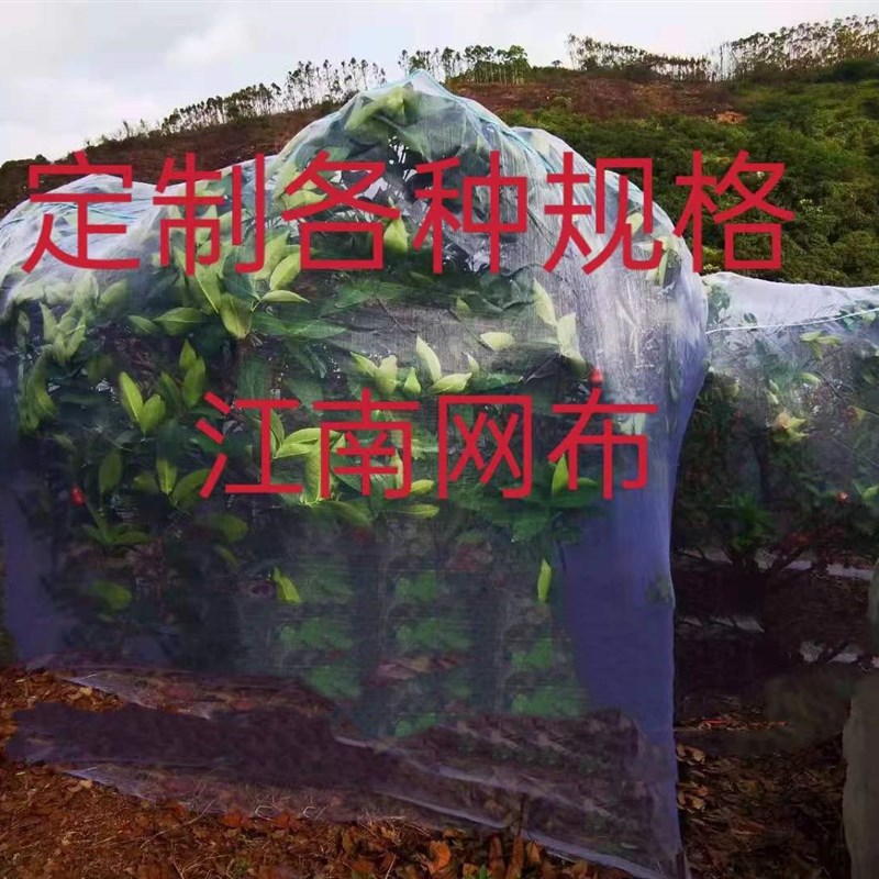 速发杨梅网罩水果树网罩防虫莲雾蓝莓网桃树防鸟网网罩大棚网罩蚊