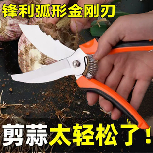 速发大蒜专用剪刀剪剪神器洋葱蒜切剪蒜头弹簧剪子蒜根蒜胡园艺剪