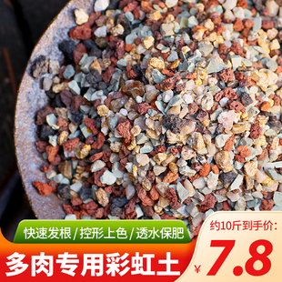 速发船长多肉彩土石纯颗粒土营养土壤面山麦饭石多肉栽培虹专用铺