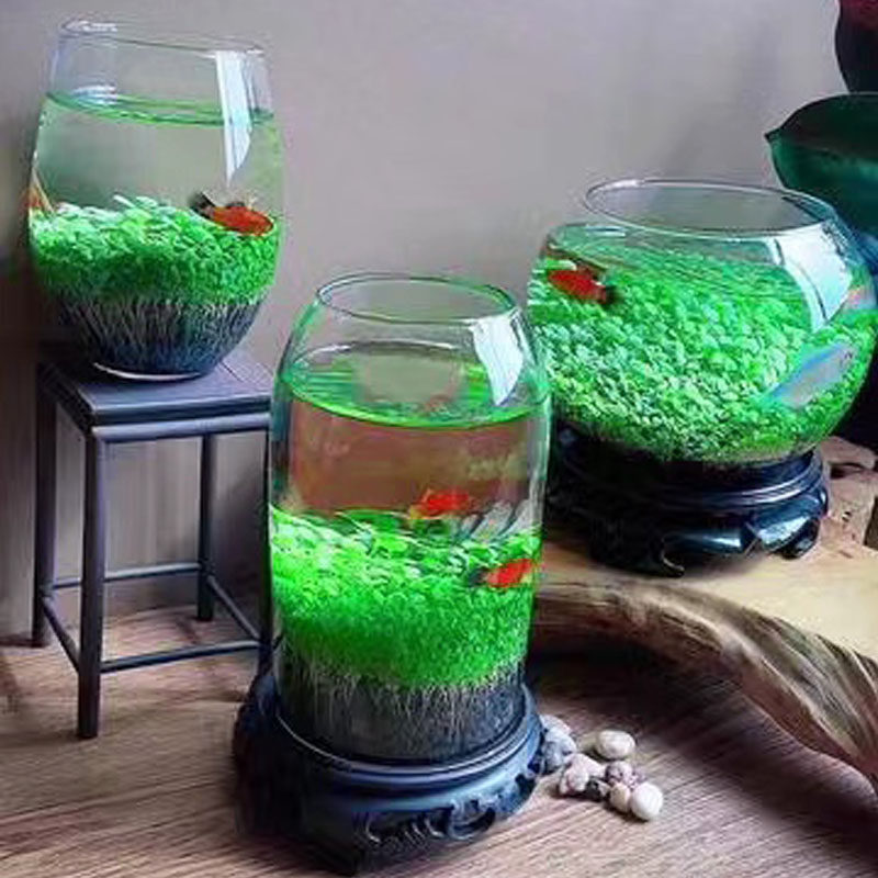 速发生态玻璃鱼缸水草桌面植物造景草盆客厅家用装饰水培真草套餐