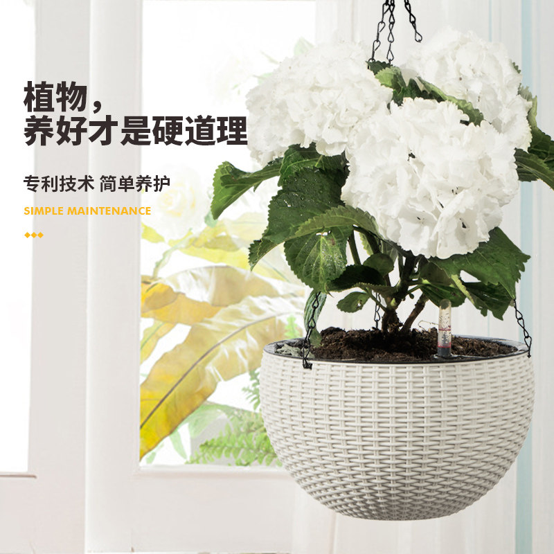 速发台吊兰2021塑料绿萝垂吊懒人自动吸水吊篮悬挂吊挂式花盆吊盆