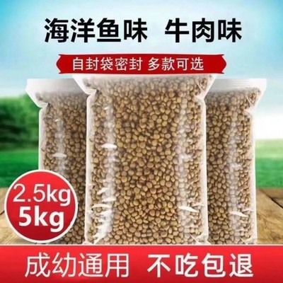 现货速发实用散装1斤5斤10斤海洋鱼味牛肉味美短蓝猫流浪猫批