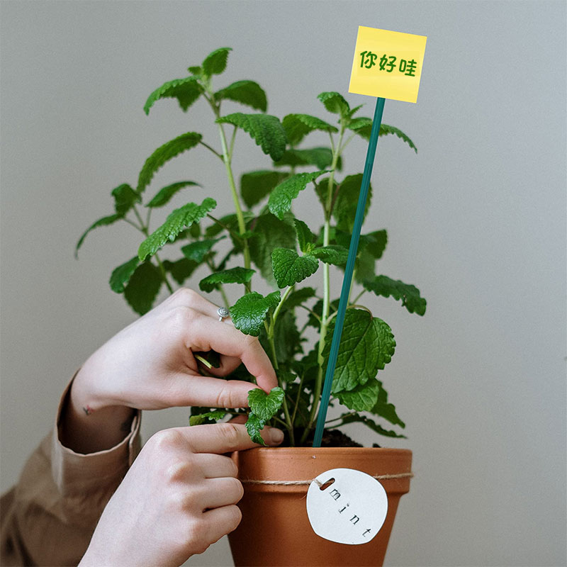现货绿色竹签植物花卉防倒v支撑杆室内外绑花固定支架插花杆金钱