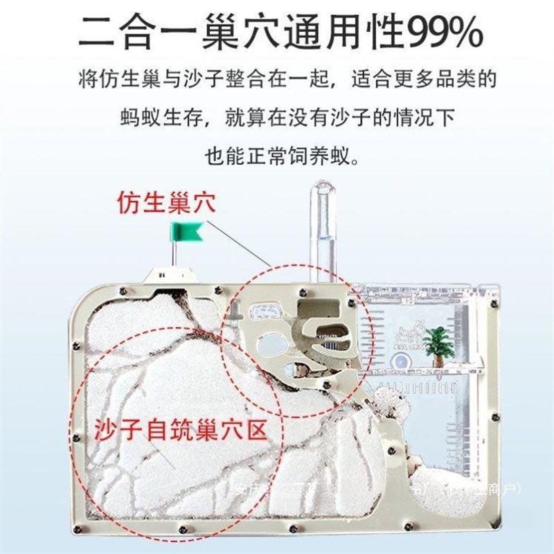 速发厂家巢蚁窝屋蚂蚁城堡蚂蚁工坊蚂蚁巢穴生态沙土蚂蚁蚁蚂巢活