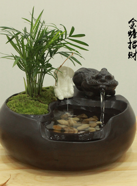 速发喷泉流水摆件盆景办公室内植物盆栽客厅生财招礼乔迁新财开业