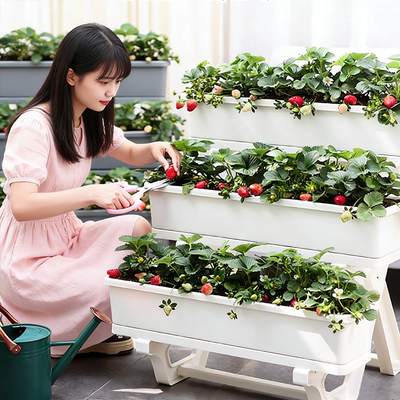 阳台阶梯式多层种菜盆立体蔬菜种植专用箱长方形花架顶楼种菜神器
