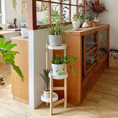 多层落地式花架客厅轻奢高级感电视柜旁置物架铁艺阳台花盆架子