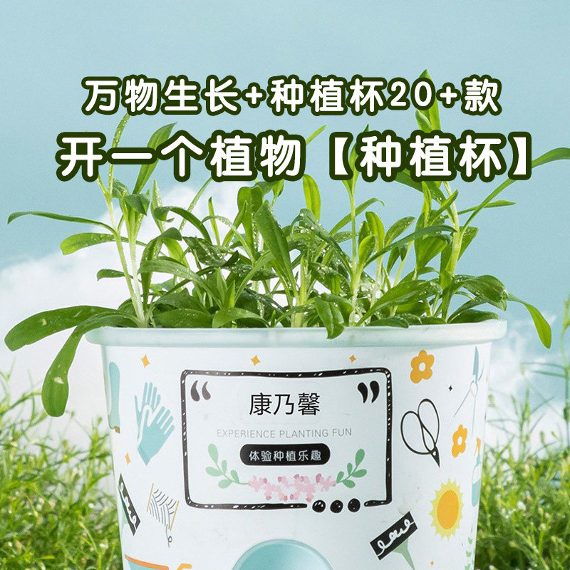 万物生长阳光房种植儿童盲盒科学小实验套装植物生长观察盒玩具
