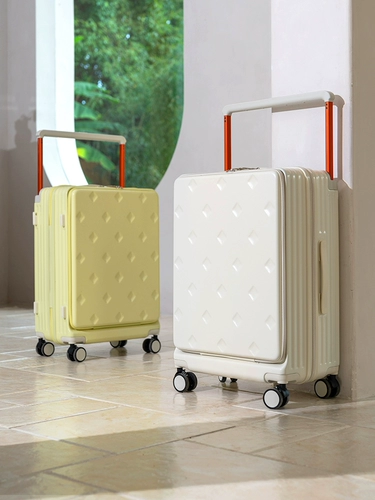 Чемодан, 20 дюймов, 24 дюймов