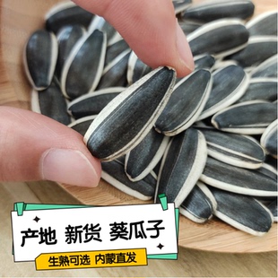 25年新货生瓜子葵花籽/原味现炒内蒙古产地直发5斤散装363葵瓜子