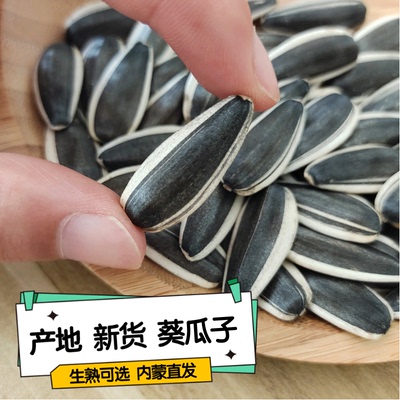 25年新货生瓜子葵花籽/原味现炒内蒙古产地直发5斤散装363葵瓜子