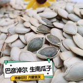 包邮 25年新货生南瓜子1 大片带壳生南瓜籽内蒙古无添加 中 5斤袋装