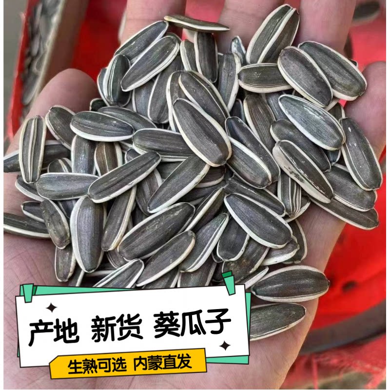 生瓜子葵花籽新货363特大颗粒散装5斤毛嗑葵花籽现炒原味葵花瓜子