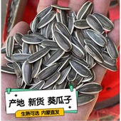 生瓜子葵花籽新货363特大颗粒散装 5斤毛嗑葵花籽现炒原味葵花瓜子