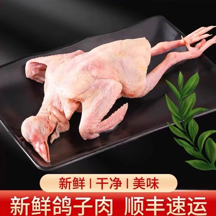 鸽子肉新鲜农家散养杂粮喂养鸽肉