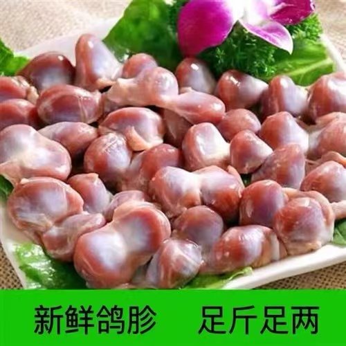 鸽子珍新鲜速冻鸽珍4斤装鸽子珍乳鸽