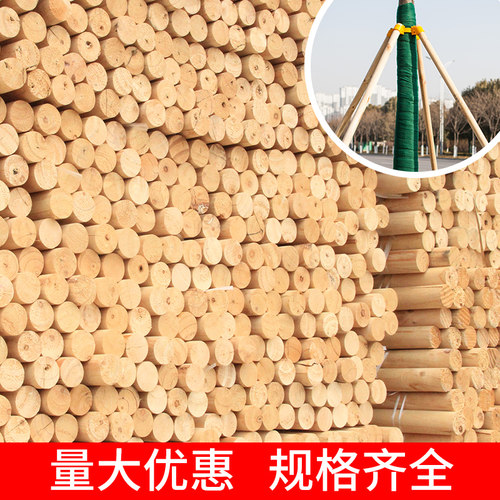 树木支撑固定器防风防倒支架大树木棍园林绿化树木支撑杆固定套杯 - 封面