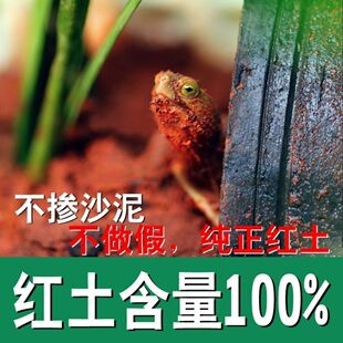 10斤乌龟垫材黄缘专用红土纯天然无杂质无添加深山土不掺泥沙冬眠