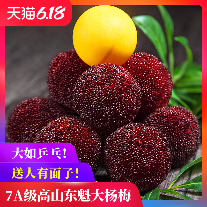 轩农谷仙居东魁杨梅新鲜水果浙江现摘现发大杨梅礼盒预定7A6斤