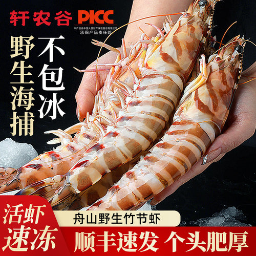 舟山九节虾礼盒装速冻鲜活竹节虾
