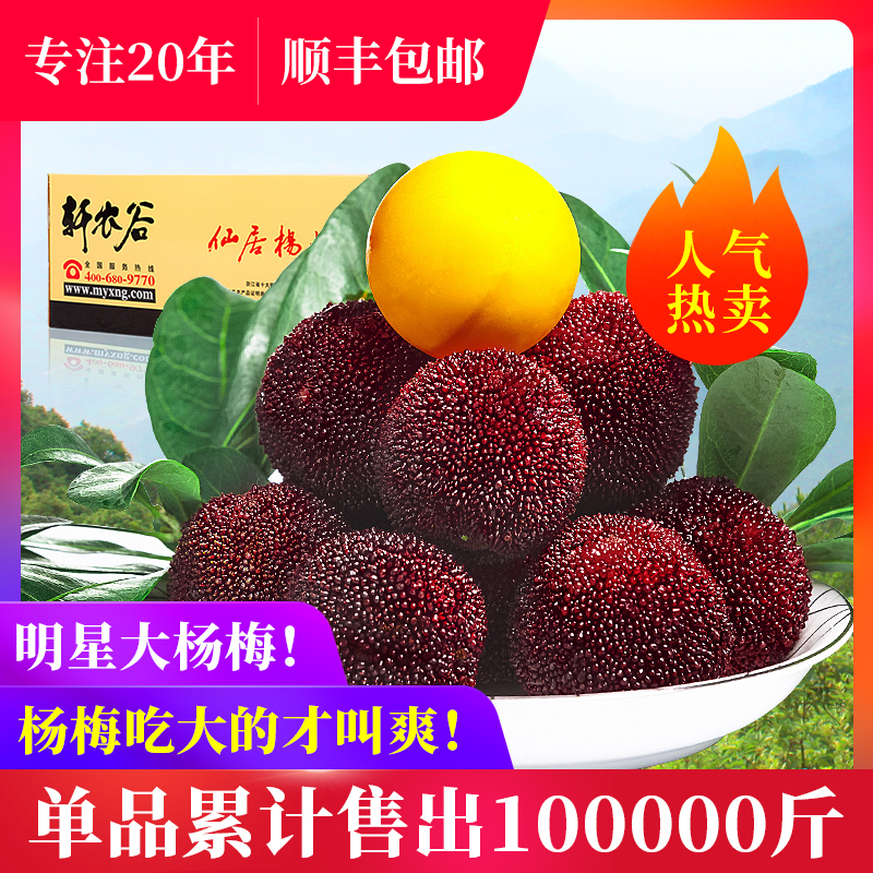 轩农谷正宗仙居杨梅新鲜当季水果特级东魁大杨梅5A级6斤高山现摘