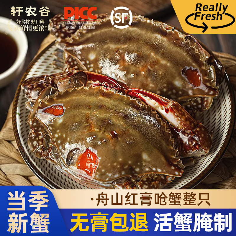宁波舟山红膏呛蟹生腌蟹飞机蟹