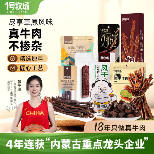 内蒙古超风干长脆条牛肉干草原