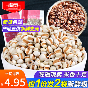 新鲜贵州小薏米仁 薏仁米 薏苡仁五谷杂粮粗粮油500g包邮