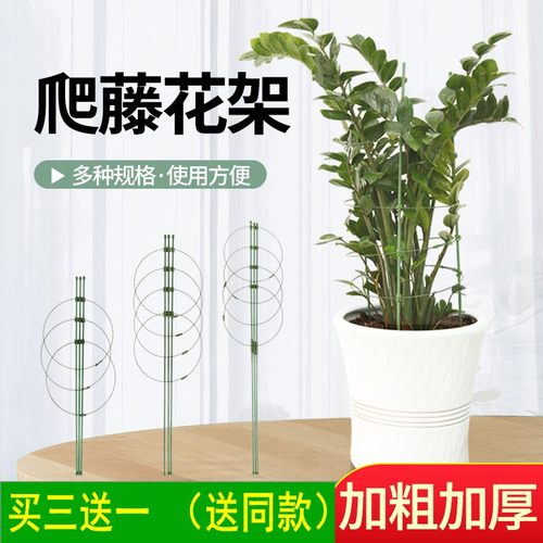 爬藤支架花架花卉支撑杆铁线莲