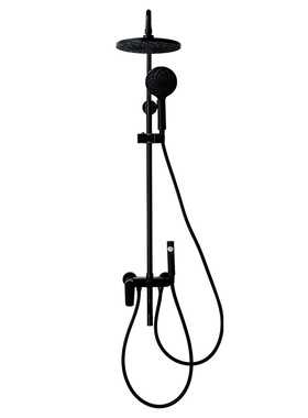 德国贝朗Eler伊勒单把挂墙一体式淋浴柱F6425238BW-A