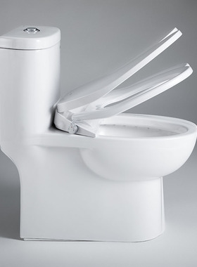 德国贝朗悦享系列普通马桶智能马桶盖套装C2168XW-3/4 +CZ9950W-1