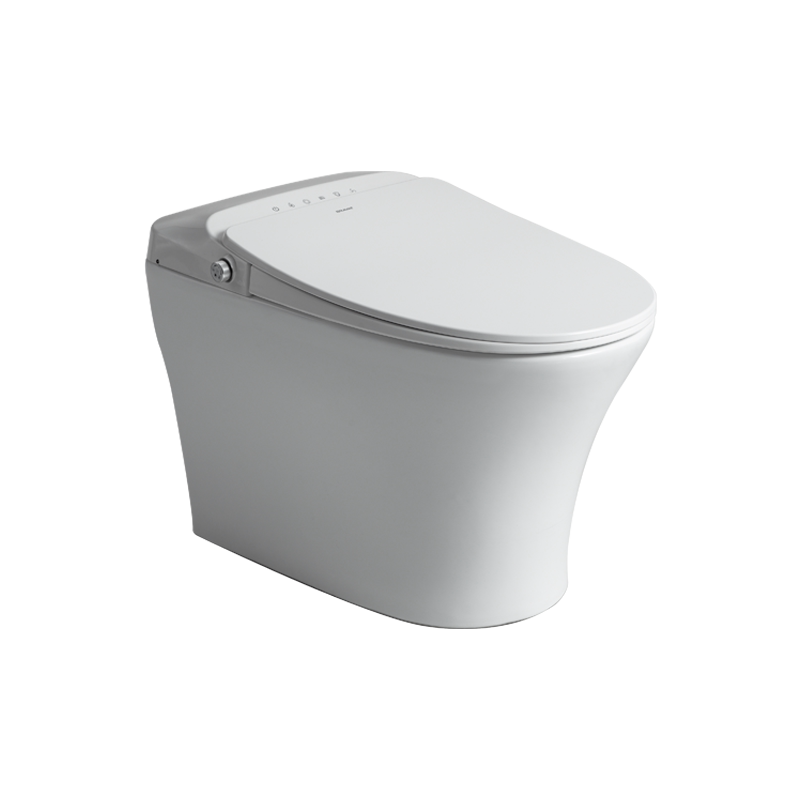 德国贝朗精灵易系列一体智能马桶烘干加热臀洗妇洗坐便器c21277w