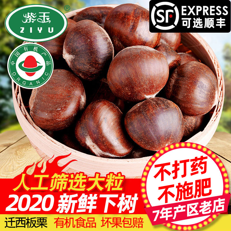 3【有机板栗】紫玉 人工挑选大粒正宗迁西板栗5斤2020年新鲜生栗子