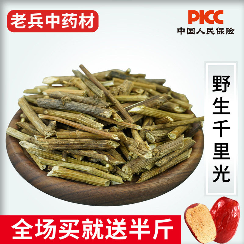千里光中草药500g正品野生新货千里光中药材精选山区黄花母九里明