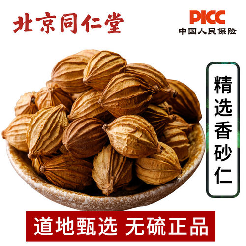 香砂仁中药材500g天然正品