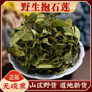 新鲜晒干抱石莲中药材500g正品特级鱼鳖金星石瓜子鱼鳖草野生干货