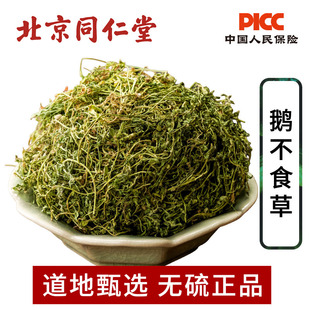 鹅不食草中药材500g野生鹅不吃草 饿不食草 鹅不食草粉另售苍耳子