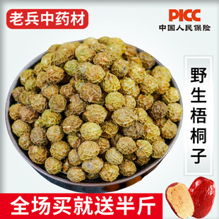 梧桐子中药材500g野生新鲜干货药用高含量梧桐籽梧桐树籽瓢儿果