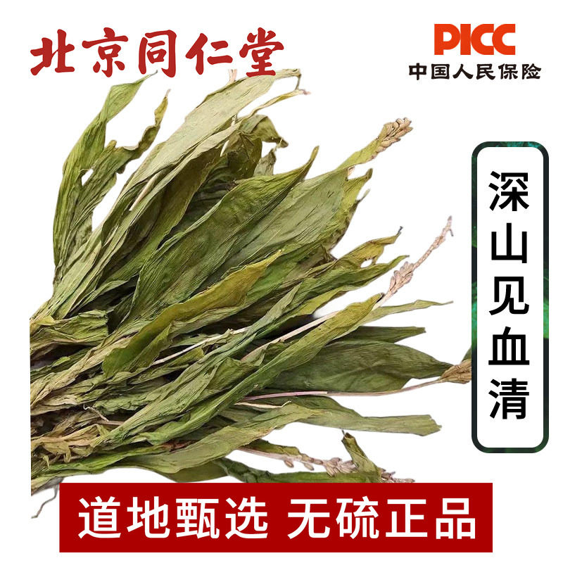 见血清中药材500g克整颗见血青草药无硫新货药用羊儿蒜 店铺大全