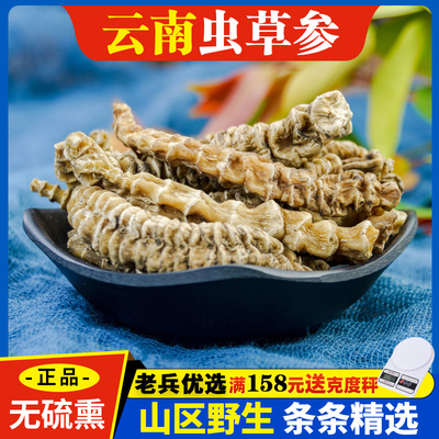 虫草参中药材500g条条精选