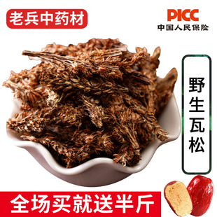 瓦松中药材500g正品野生高含量瓦松花新货流苏向天草天王铁塔草