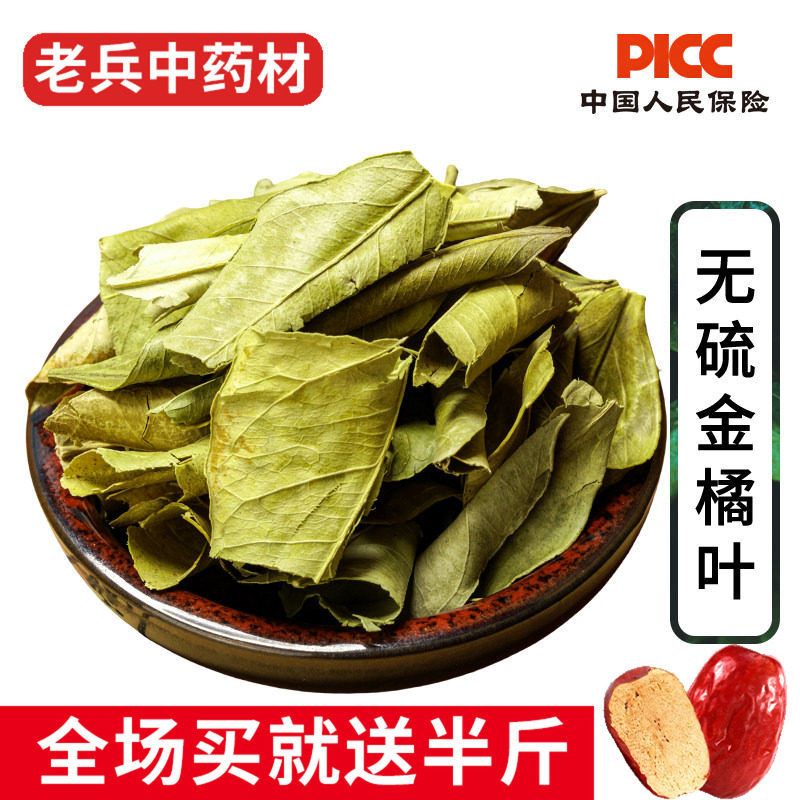 金橘叶500g克无硫新货金桔叶桔子叶可搭配橘络橘核橘皮泡茶养生茶