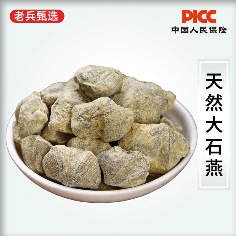 石燕中药材500g天然化石