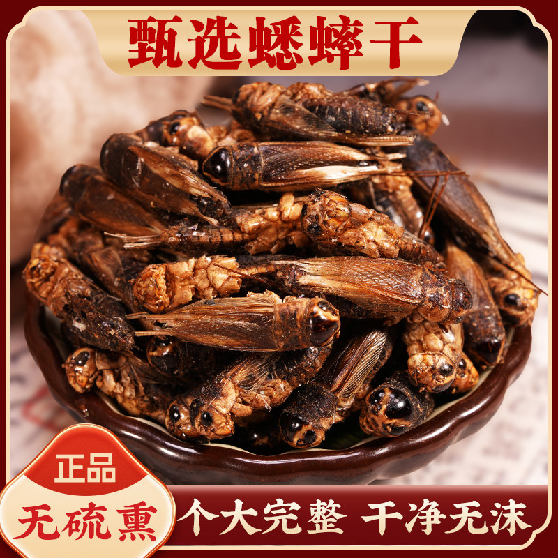 精选大个蟋蟀干中药材500g无硫正品蟋蟀蛐蛐干蚱蜢干将军虫可磨粉